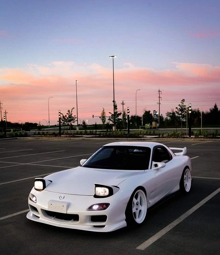 Sebo X7 Automatic White – A Buyers Guide
